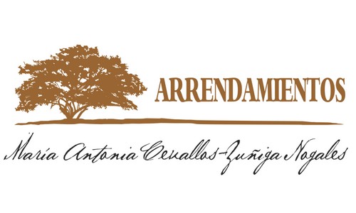 Arrendamientos ma logo inicio